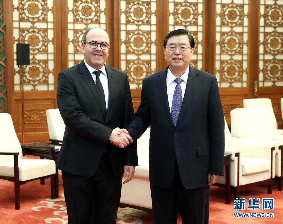 12月20日，全國人大常委會委員長張德江在北京人民大會堂會見摩洛哥參議長本希馬。新華社記者劉衛(wèi)兵攝