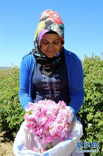 (國際·圖文互動(dòng))通訊:土耳其“玫瑰經(jīng)濟(jì)”看好中國市場(chǎng)