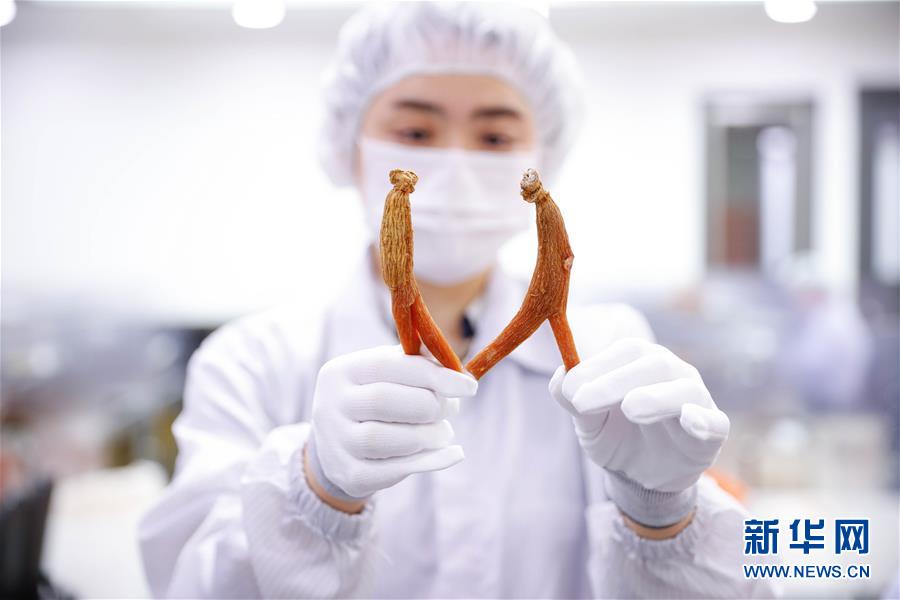 (國際·一周看天下)高麗參