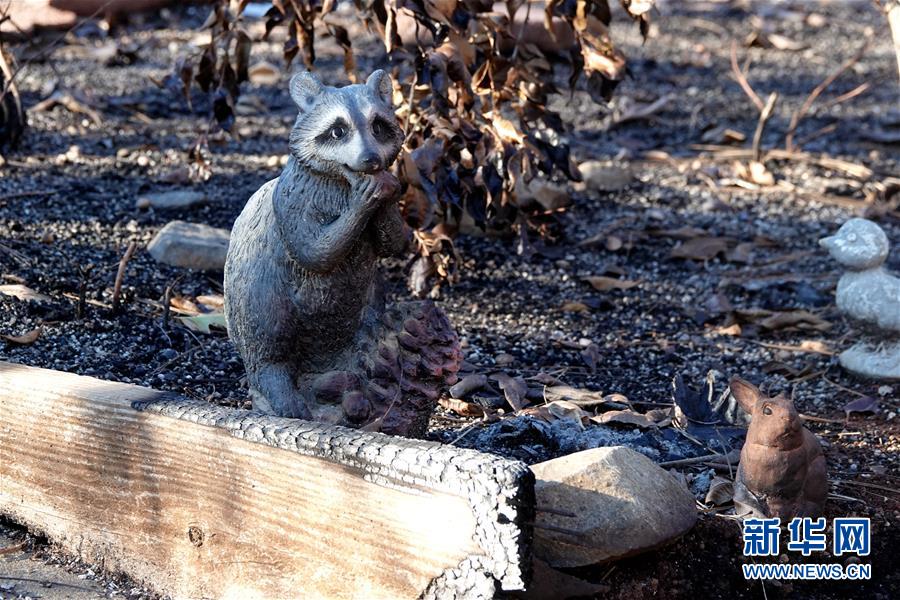 （國際&middot;圖文互動）（4）一場山火，讓這個冬天格外冷&mdash;&mdash;探訪美國加州山火災區(qū)