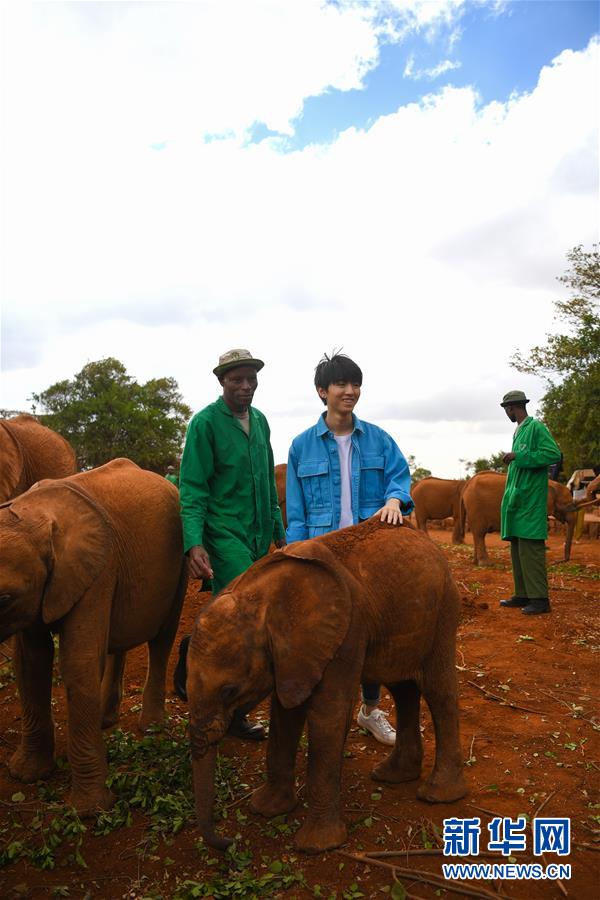 (國(guó)際·圖文互動(dòng))(3)專(zhuān)訪(fǎng):環(huán)保要以身作則 從身邊小事做起——訪(fǎng)聯(lián)合國(guó)環(huán)境署親善大使王俊凱