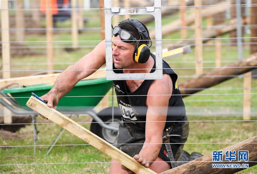 （國際&middot;一周看天下）比賽