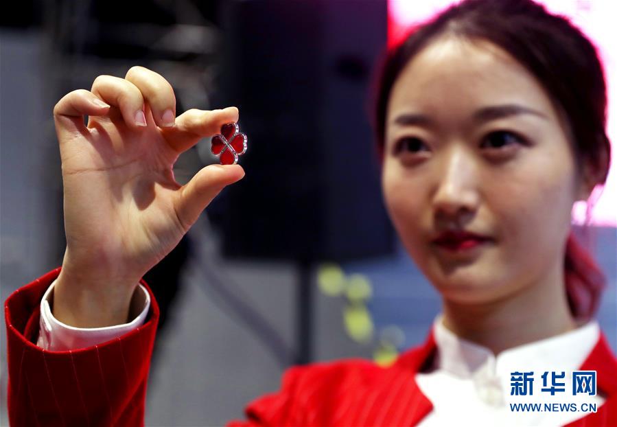 (社會(huì))(5)5000余名第二屆進(jìn)博會(huì)志愿者宣誓上崗