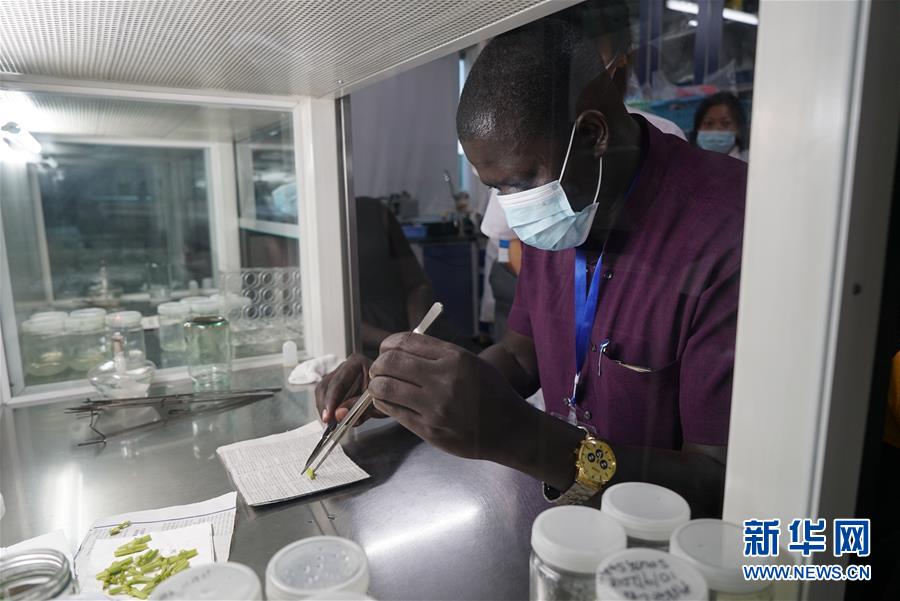 (在習近平新時代中國特色社會主義思想指引下——新時代新作為新篇章·總書記關切開放事·圖文互動)(8)來中國“學種地”的“洋學生”