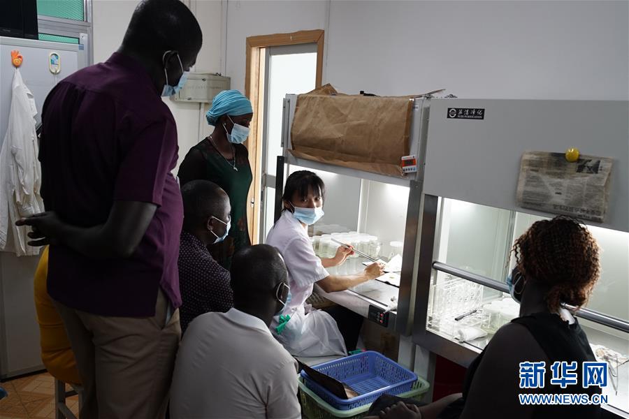 (在習近平新時代中國特色社會主義思想指引下——新時代新作為新篇章·總書記關切開放事·圖文互動)(7)來中國“學種地”的“洋學生”