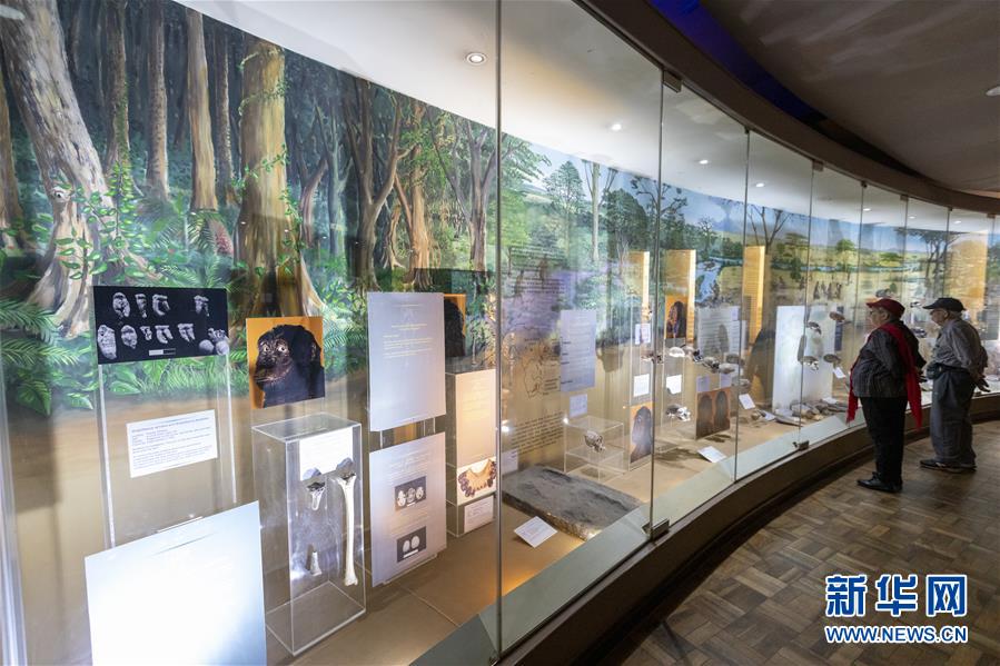 (國(guó)際)(9)探訪非洲博物館