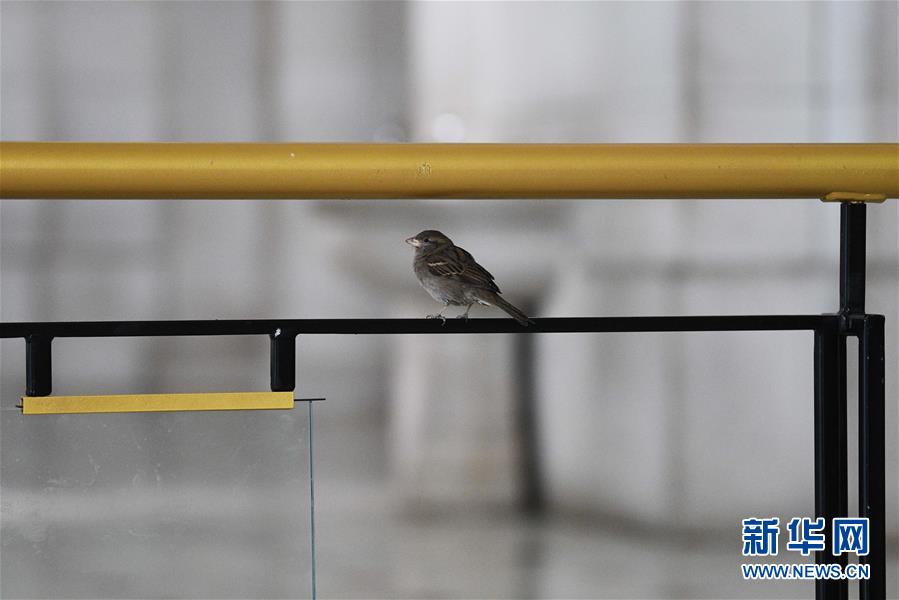 （國(guó)際疫情）（5）約翰斯&middot;霍普金斯大學(xué)：美國(guó)新冠肺炎確診病例超過14萬例