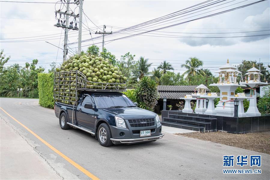 (第三屆進(jìn)博會·圖文互動)(1)通訊:椰香飄進(jìn)進(jìn)博會 市場開放共繁榮——一名泰國椰商的心聲