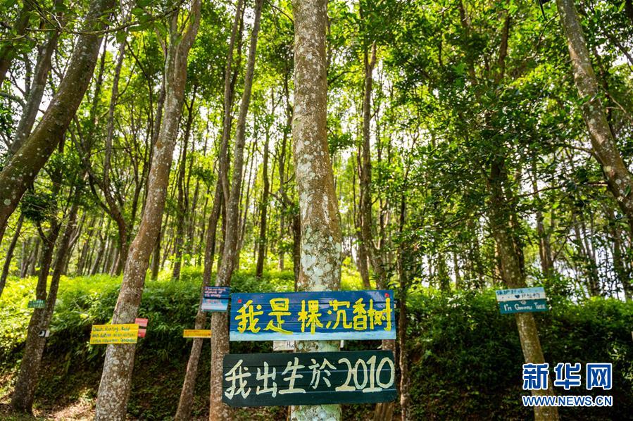 （第三屆進博會&middot;圖文互動）（10）專訪：進博會提供了一個共享中國發(fā)展機遇的平臺