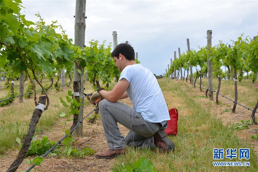 （第三屆進(jìn)博會&middot;圖文互動）（7）專訪：進(jìn)博會是了解中國市場的好機(jī)會&mdash;&mdash;訪澳大利亞諾瓦維塔葡萄酒集團(tuán)創(chuàng)始人卡臣