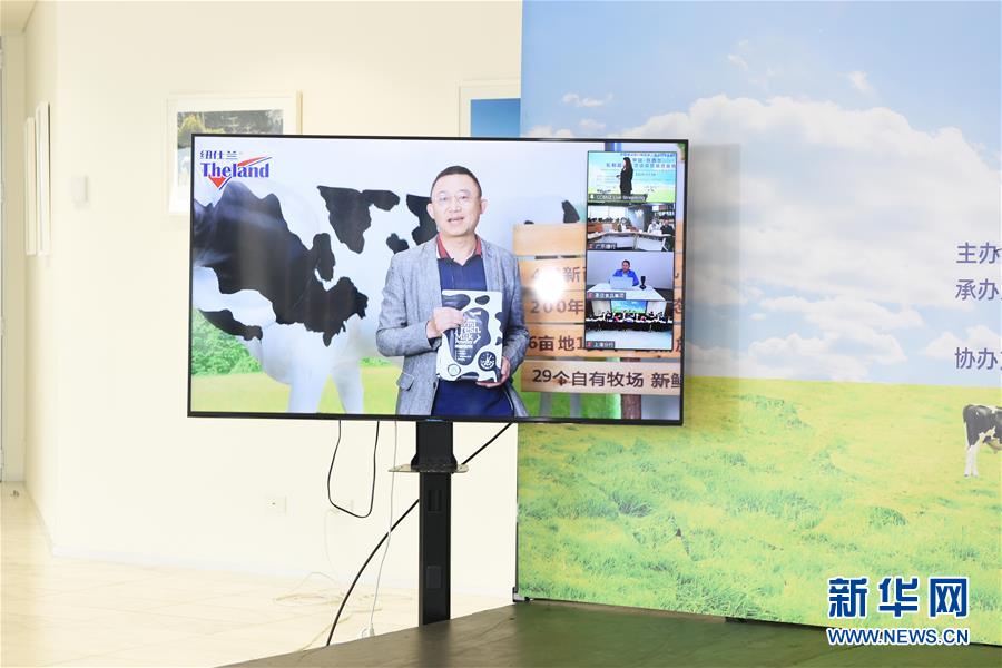 （國際&middot;圖文互動(dòng)）（2）中國-新西蘭乳制品商貿(mào)洽談會簽約金額超12億元