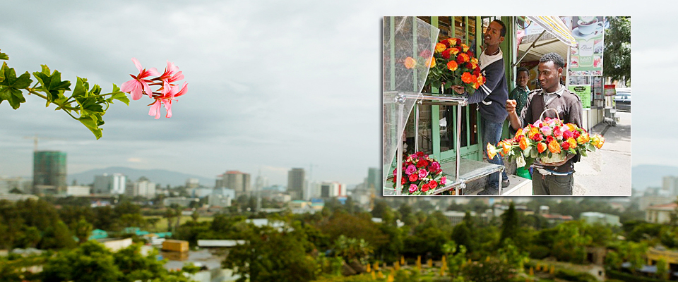 &ldquo;鮮花之城&rdquo;亞的斯亞貝巴