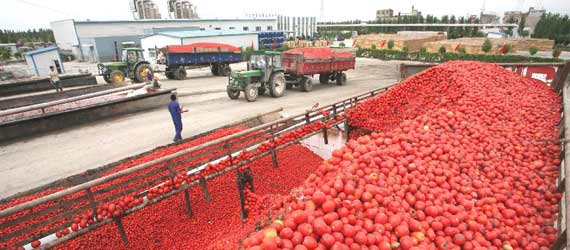 中國推動構(gòu)建共贏、互信、發(fā)展的新絲綢之路