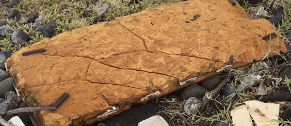 法留尼汪島海岸又一物體被發(fā)現