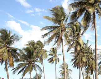 &ldquo;西非門(mén)戶&rdquo;塞內(nèi)加爾