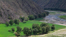 天山克爾古提盛夏時節(jié)谷里谷外&ldquo;冰火&rdquo;兩重天