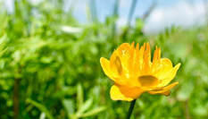 &ldquo;最美鄉(xiāng)村&rdquo;腦干寶力格嘎查 來自草原的明信片