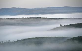 中國扶貧的西海固答卷&mdash;&mdash;寧夏奮進(jìn)60年巡禮之脫貧攻堅篇