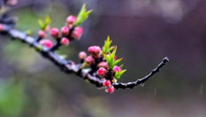 隨心而行，走走停停始終精彩。