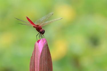 2019，精&ldquo;彩&rdquo;紛呈