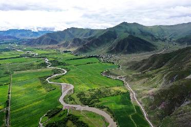 夏日林周風(fēng)光美