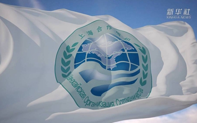 你好，上合！