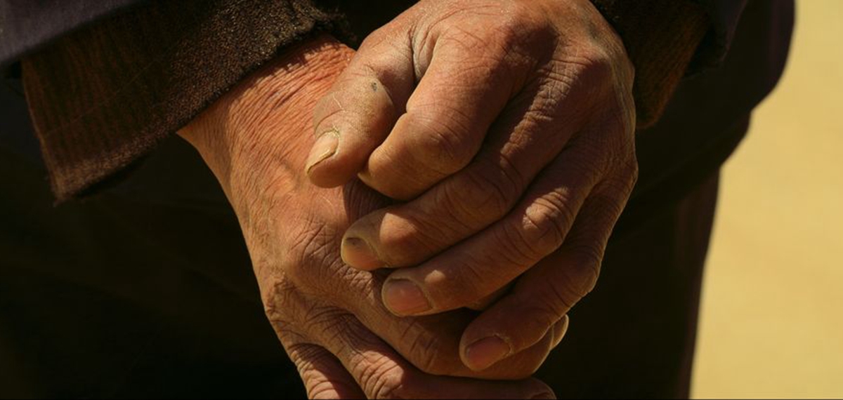 正式發(fā)布！《攜手，為人民》中國共產(chǎn)黨與世界政黨領導人峰會暖場片