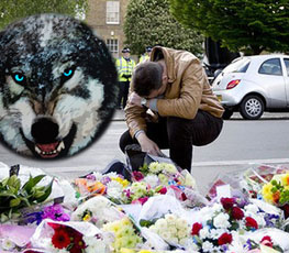 血案頻發(fā) "獨(dú)狼"緣何兇猛？